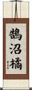 鵠沼橘 Scroll