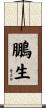 鵬生 Scroll