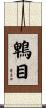 鵯目 Scroll