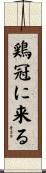 鶏冠に来る Scroll