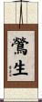 鶯生 Scroll
