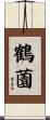 鶴薗 Scroll