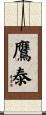 鷹泰 Scroll