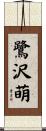 鷺沢萌 Scroll
