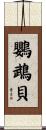 鸚鵡貝 Scroll