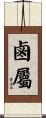鹵屬 Scroll