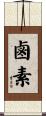 鹵素 Scroll