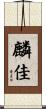 麟佳 Scroll