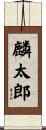 麟太郎 Scroll