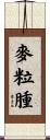 麥粒腫 Scroll