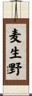 麦生野 Scroll
