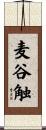 麦谷触 Scroll