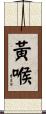 黃喉 Scroll