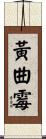黃曲霉 Scroll