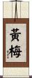 黃梅 Scroll