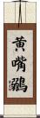 黄嘴鶸 Scroll