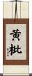 黄枇 Scroll