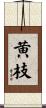 黄枝 Scroll