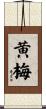 黄梅 Scroll