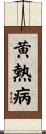 黄熱病 Scroll