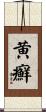 黄癬 Scroll