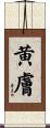 黄膚 Scroll