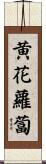 黄花蘿蔔 Scroll