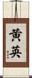 黄英 Scroll