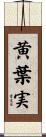 黄葉実 Scroll