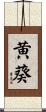 黄葵 Scroll