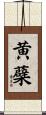 黄蘗 Scroll