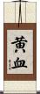 黄血 Scroll
