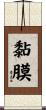 黏膜 Scroll