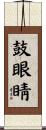鼓眼睛 Scroll