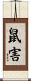 鼠害 Scroll
