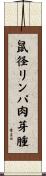 鼠径リンパ肉芽腫 Scroll