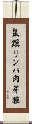 鼠蹊リンパ肉芽腫 Scroll