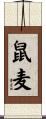 鼠麦 Scroll