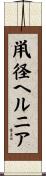 鼡径ヘルニア Scroll