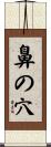 鼻の穴 Scroll
