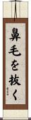 鼻毛を抜く Scroll