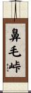 鼻毛峠 Scroll