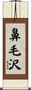 鼻毛沢 Scroll