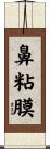 鼻粘膜 Scroll