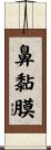 鼻黏膜 Scroll