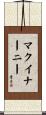 McInerney Scroll