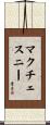 McChesney Scroll