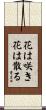 Flowers Bloom and Flowers Fall Scroll