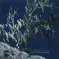Frosty Bamboo at Dawn Asian Painting