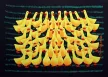 100 Yellow Ducks Chinese Folk Art